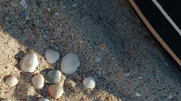 Passez un week-end insolite à Saint-Malo